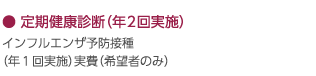 定期健康診断（年２回実施）｜インフルエンザ予防接種
（年１回実施）実費（希望者のみ）