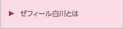 ゼフィール白川とは